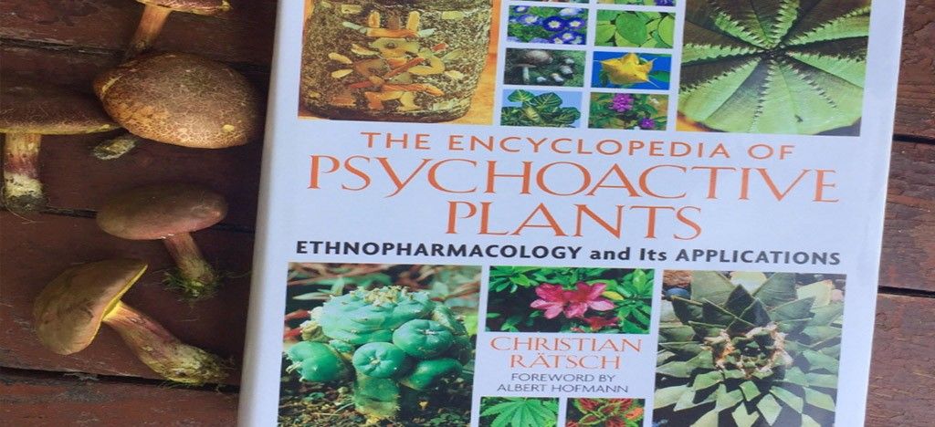 جایگاه پنجم دنیا در تولید علم حوزه طب سنتی و گیاهان دارویی، برای ایران